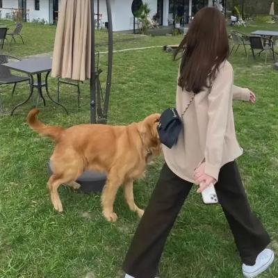 热播推荐